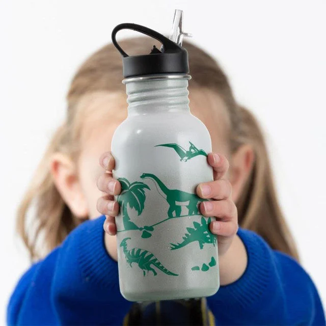 Pure Stainless Steel Color-Change Dinosaur Bottle | 550 ML